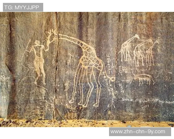 非洲足球杯主题曲激情四溢展现非洲文化与团结精神的旋律之旅